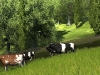 22_agricultural_simulator_2013_screenshot_07
