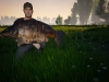 Dovetail_Games_Fishing_Debut_Screenshot_03.jpg