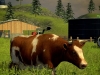 99_farming_simulator_2013_new_screenshot_013