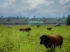 99_farming_simulator_2013_new_screenshot_021