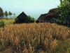 Life_is_Feudal_Your_Own_New_Screenshot_026