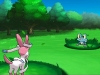 00_pokemon_x_n_pokemon_y_eevee_evolution_screenshot_010