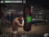 real_boxing_screenshot_01