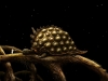 Samorost 3 Space Turtle