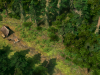 screenshots_forest