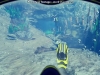 55_world_of_diving_debut_screenshot_016