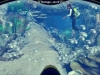 55_world_of_diving_debut_screenshot_021