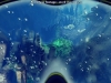 55_world_of_diving_debut_screenshot_028