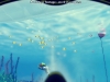 55_world_of_diving_debut_screenshot_05