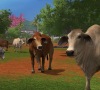 Farming_Simulator_17_Platinum_Edition_Launch_Screenshot_05