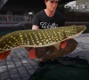 Fishing_Sim_World_Launch_Screenshot_04