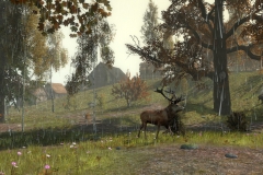 Life_is_Feudal_Forest_Village_New_Screenshot_012