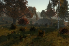 Life_is_Feudal_Forest_Village_New_Screenshot_018