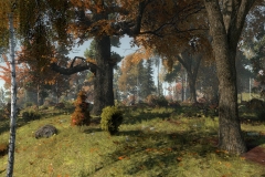 Life_is_Feudal_Forest_Village_New_Screenshot_019