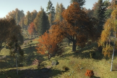 Life_is_Feudal_Forest_Village_New_Screenshot_020