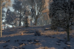 Life_is_Feudal_Forest_Village_New_Screenshot_05