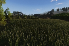 Life_is_Feudal_Your_Own_MMO_New_Screenshot_012