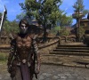 The_Elder_Scrolls_Online_Morrowind_New_Screenshot_02