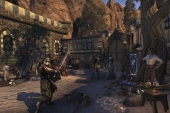 The_Elder_Scrolls_Online_Morrowind_New_Screenshot_025