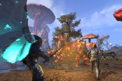 The_Elder_Scrolls_Online_Morrowind_New_Screenshot_09
