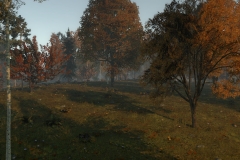 Life_is_Feudal_Forest_Village_New_Screenshot_017